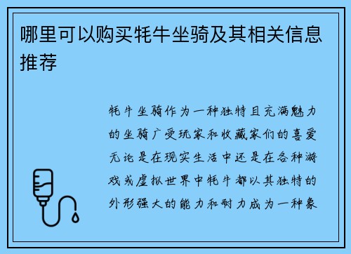 哪里可以购买牦牛坐骑及其相关信息推荐