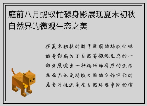庭前八月蚂蚁忙碌身影展现夏末初秋自然界的微观生态之美 庭前八月蚂蚁忙碌身影展现夏末初秋自然界的微观生态之美